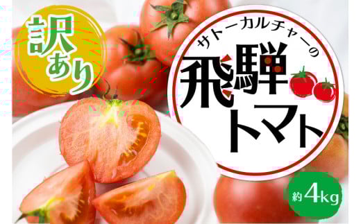 《令和7年産発送中》【訳あり】飛騨トマト 約4kg 6月下旬〜11月にかけて収穫次第順次発送 とまと トマト 麗月 訳あり 不揃い 傷 キズ 玉数・大きさおまかせ 15〜28玉 サトーカルチャー syun23岐