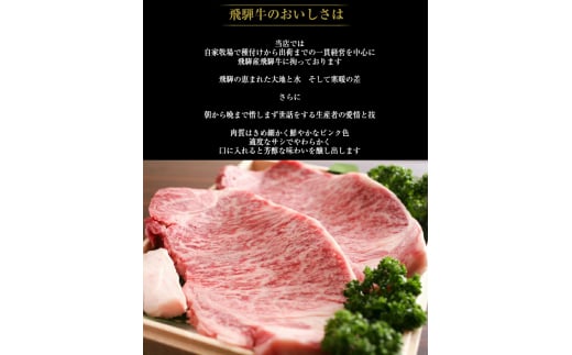 ハイグレード 希少部位入り♪飛騨牛ステーキバラエティセット 約1.5kg 飛騨牛 牛肉 霜降り 希少部位 和牛 黒毛和牛 飛騨 詰め合わせ岐阜県飛騨市100000肉牛肉