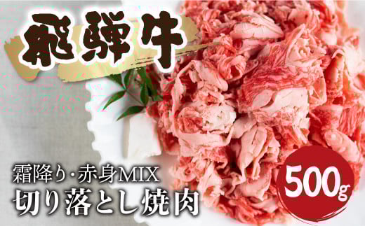 【訳あり】飛騨牛 霜降り 赤身 ミックス 切り落とし 焼肉 500g 訳あり 訳アリ わけあり ワケアリ 不揃い 焼き肉 牛肉 和牛 バラ モモ カタ 飛騨市  18000円岐阜県飛騨市18000肉牛肉