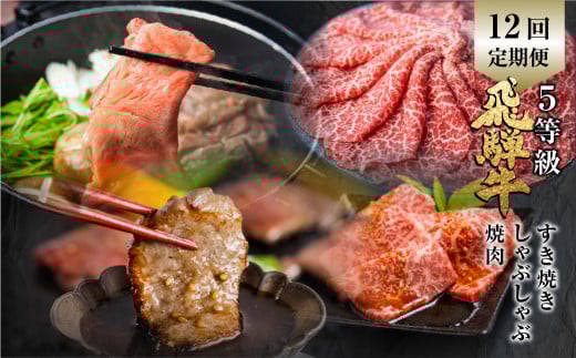 定期便 全12回 飛騨牛 5等級 しゃぶしゃぶ すき焼き 焼肉 お楽しみ定期便 12ヵ月 ロース もも うで 食べ比べ 国産牛 国産 牛肉 肉 厳選 熟成 肉の沖村 定期便岐阜県飛騨市348000肉牛肉