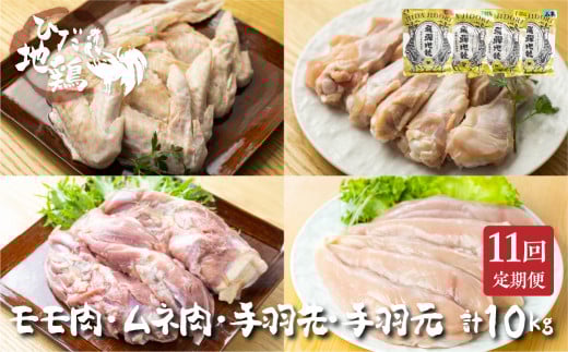 鶏肉 定期便 お楽しみ 地鶏 定期便11回 飛騨地鶏 モモ肉 手羽元 手羽先 ムネ肉 約10kg 国産 国産地鶏岐阜県飛騨市100000肉鶏肉