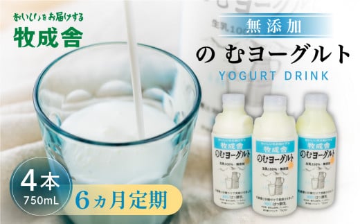 6回定期便 牧成舎 ミルクと砂糖、乳酸菌だけの飲むヨーグルト4本 のむヨーグルト 乳製品 定期便 お楽しみ 6ヵ月岐阜県飛騨市60000卵・乳製品牛乳・乳飲料