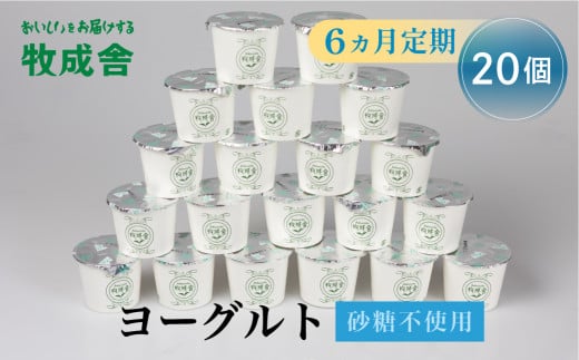 6回定期便 飛騨産ミルクと乳酸菌だけのプレーンヨーグルト20個 砂糖不使用 牧成舎 乳製品 定期便 お楽しみ 6ヵ月岐阜県飛騨市60000卵・乳製品ヨーグルト