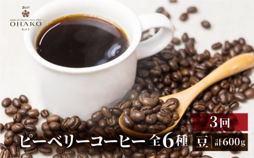 【定期便】珈琲豆 おまかせ 全6種類ピーベリーを楽しめる 毎月2種100gずつ×3回 コーヒー豆岐阜県飛騨市24000お茶・飲料コーヒー・紅茶