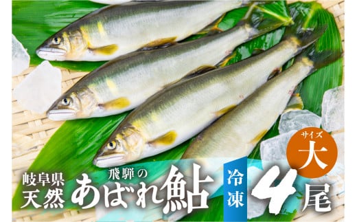 《先行予約》2025年産 飛騨 天然鮎 大サイズ 4尾 天然 アユ 鮎 岐阜県 室田名人 宮川下流 飛騨のあばれ鮎 高級料亭御用達 急速冷凍 冷凍 あゆ 魚 天然 川魚 20000円 2万円岐阜県飛騨市20000魚介・