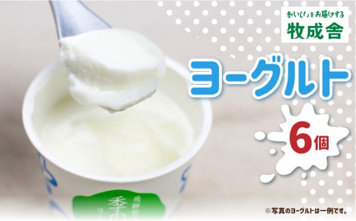 牧成舎カップヨーグルト 6個 訳あり 牧成舎 味おまかせ お楽しみ 福袋 プレーン 砂糖不使用 わけあり岐阜県飛騨市5000卵・乳製品ヨーグルト