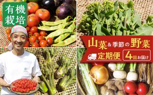 栄養価コンテストグランプリ農家がお届けする「飛騨の四季 山菜と野菜尽くしセット」定期便 年4回 飛騨 ありがとうファーム岐阜県飛騨市40000野菜・きのこその他 野菜