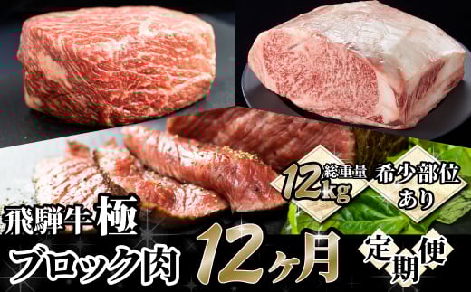 定期便 飛騨牛ブロック12回お届け  牛肉 和牛 ブランド牛 ごちそう 贅沢飛騨牛岐阜県飛騨市1000000肉牛肉