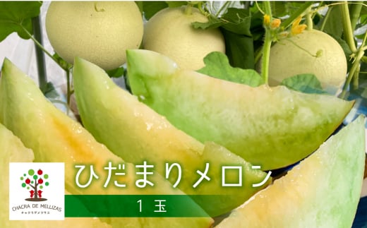 《先行予約》ひだまりメロン 1個 CHACRA DE MELLIZAS 令和8年産 メロン フルーツ 果物 くだもの 夏 めろん 12000円岐阜県飛騨市12000果物・フルーツメロン・スイカ