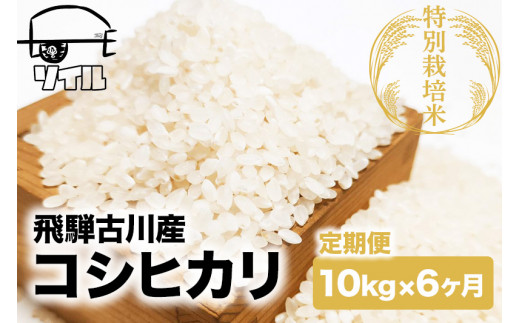 【2025年先行予約 10月から発送】令和7年産 米 定期便 こしひかり 6か月 10kg 米 定期便 6回 コシヒカリ 飛騨古川産 特別栽培米 こしひかり 10kg 特A ソイル岐阜県飛騨市216000米・パン白米