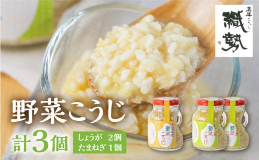 野菜麹 野菜こうじ 飛騨こうじ しょうが2個 たまねぎ1個  計3セット  米麹 米こうじ 生麹 発酵岐阜県飛騨市12000調味料・油酢