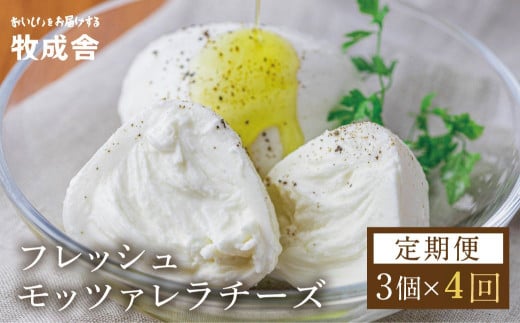 チーズ 定期便 4回 乳製品<牧成舎>チーズ フレッシュ モッツァレラチーズ 冷蔵 小分け 個包装 カプレーゼ パスタ ピザ おつまみ 前菜 サラダ 低温殺菌 新鮮 生乳 生乳100%岐阜県飛騨市30000