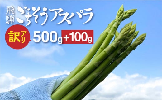 【令和7年産】<訳あり>飛騨の甘〜い柔らかアスパラガス 600g  アスパラガス 野菜 先行予約 訳あり 規格外 家庭用岐阜県飛騨市10000野菜・きのこその他 野菜