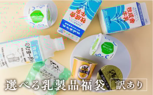 お好みに合わせて選べる!福袋お楽しみ(ヨーグルト&チーズ)乳製品セット岐阜県飛騨市10000卵・乳製品牛乳・乳飲料