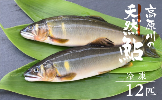 _2025NOv܁^s\ ̓VR 12C(17~20cm)   A 싛  TJi  VR Ⓚ  AEghA o[xL[ BBQ  ˎs 40000~ 4 |bL򕌌
