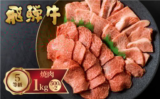 飛騨牛 霜降り(ロース・カタロース)/赤身(モモ・カタ) 焼肉 計1kg バーベキュー BBQ やきにく A5 5等級 肉 牛肉 和牛 国産 食べ比べ 冷凍岐阜県飛騨市65000肉牛肉