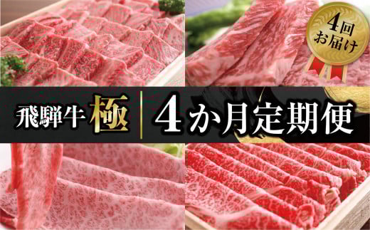飛騨牛極 4か月 定期便 焼肉・しゃぶしゃぶ・ステーキ・すき焼き 堪能コース | 飛騨牛 肉 和牛 すきやき やきにく お楽しみ 4回 国産牛【ごちそう】 贅沢飛騨牛岐阜県飛騨市120000肉牛肉