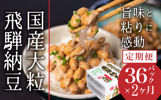 飛騨納豆 3連パック×12個×2回お届け 定期便岐阜県飛騨市15000鍋セット・総菜・加工食品その他 鍋セット・総菜・加工食品