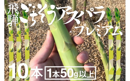 《先行予約》《期間・数量限定》2025年産プレミアムアスパラ 1本50g以上の極太アスパラガス 10本 syun76岐阜県飛騨市15000野菜・きのこその他 野菜