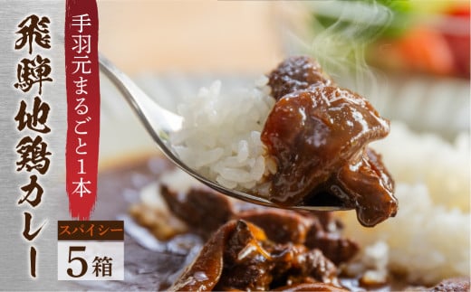 訳あり 飛騨地鶏カレー(5袋) チキンカレー スパイシー 簡易包装岐阜県飛騨市10000肉加工肉(ハム・ソーセージ等)