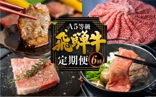 飛騨牛づくし定期便 6回 4人前 肉 定期便 飛騨牛 5等級 しゃぶしゃぶ すき焼き ステーキ 焼肉 お楽しみ定期便 6ヵ月 もも うで 食べ比べ 国産牛 国産 牛肉 肉 厳選 熟成 肉の沖村 飛騨市岐阜県