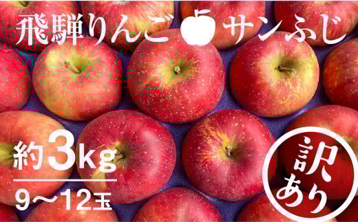 y11{1{zs󂠂t Tӂ 3kg 9`12 ˂ ь ʎ ʕ Y ˎY ƒp ƒp ܍͔| syun35 1~򕌌ˎs10000ʕEt[c