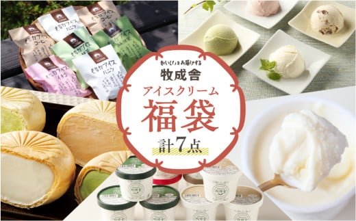 訳あり≪牧成舎≫飛騨のミルクの旨味たっぷりアイスクリーム福袋 7点セット 味お任せ アイス アイスクリーム 国産 飛騨市 生乳 人気 おすすめ 冷凍  福袋 飛騨市 日時指定可 ギフト 贈答岐
