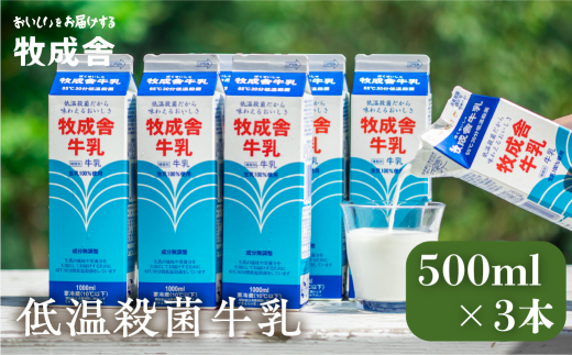 明治30年創業の牛乳屋 牧成舎の低温殺菌牛乳 500ml×3本セット 乳製品 牛乳パック 乳飲料 無添加 牧成舎 飛騨市岐阜県飛騨市5000卵・乳製品牛乳・乳飲料