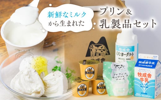 牛乳屋さんのつくるミルクの自然なおいしさを詰め込んだ ミルクプリン12個&牛乳 ヨーグルト チーズ よりどり乳製品ミニセット  冷蔵発送 冷凍発送 乳製品 バラエティセット  牧成舎岐阜