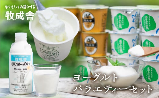 飛騨 牧成舎 ヨーグルト 3種 7個 セット お試しセット ヨーグルト ギフト まとめ買い 牧成舎 冷蔵 冷蔵保存 さっぱり 低カロリー ヘルシー 生クリーム 濃厚 単身 一人暮らし用岐阜県飛騨市800