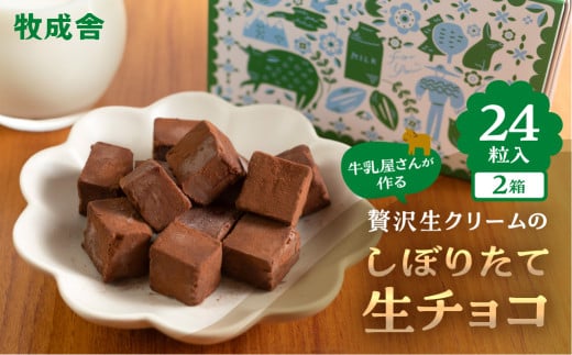 生チョコレート  2箱(1箱12粒入り)   生クリーム使用 チョコレート スイーツ 冷凍 洋菓子 ギフト 贈答 贈り物 プレゼント 牧成舎 ホワイトデー岐阜県飛騨市10000卵・乳製品チーズ