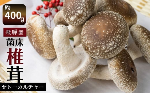 菌床しいたけ 約400g 約100g×4パック 枚数おまかせ 国産 椎茸 シイタケ 生しいたけ きのこ キノコ 鍋 すきやき すき焼き岐阜県飛騨市5000野菜・きのこきのこ