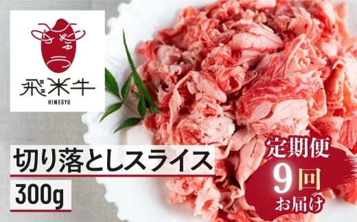y9 ցz܂Ԑgɂ јa ؂藎Ƃ   300g × 9 ċ Ђ߂イ ؂藎ƂXCX  ͂ XCX ؗ  ؂藎    a Y 