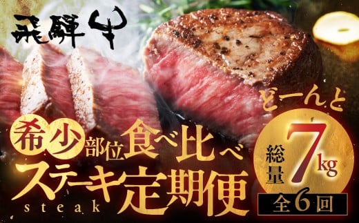 《厳選 希少部位》飛騨牛 食べ比べ 贅沢堪能 ステーキ定期便 厳選 飛騨牛 6回お届け 定期便 6回 半年 定期 牛肉 肉 和牛 国産 焼肉 ステーキ シャトーブリアン ヒレ サイコロステーキ 贅沢 大