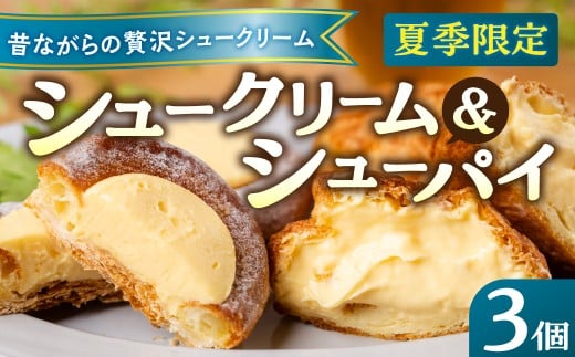 sGߌt3Zbg V[N[ V[pC V[ACX Iׂ 3 4 5 fU[g XC[c mَq  Ⓚ peBX[}cL ċG Ԍ ACX   [Q2995]