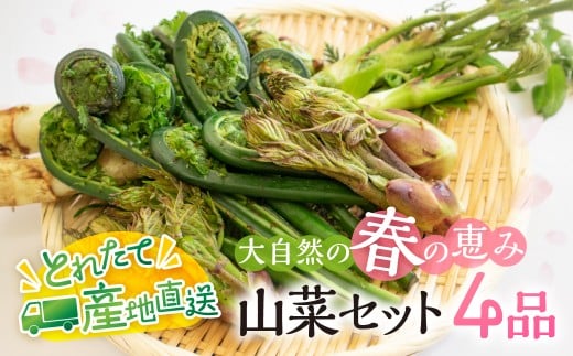 ťb R؃Zbg4i i400g`500gj  { Gߕi Yn s҂ɂɂ RVAu  ^̉ R ~Y  ǂ P| [Q2987]򕌌ˎs10000؁Ê̂