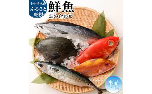 おまかせ!季節の鮮魚 お楽しみセット(2万円 水晶コース)鮮魚 ボックス 詰め合わせ 天然魚 食べ比べ 魚介類 海鮮料理 セット お楽しみ おまかせ 新鮮 魚 季節の魚 美味しい おいしい 高知