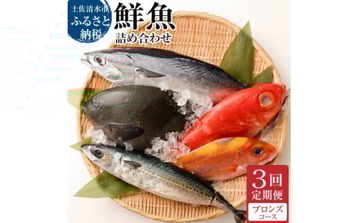 <3回定期便> 季節の鮮魚 おまかせお楽しみセット(ブロンズコース)鮮魚 ボックス 詰め合わせ 天然魚 食べ比べ 魚介類 海鮮料理 魚 新鮮 刺し身 煮付け お楽しみ 定期便 3ヶ月 高知 【J0002