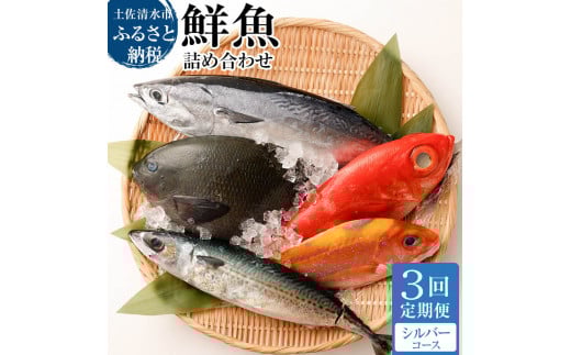 季節の鮮魚 おまかせお楽しみセット(シルバーコース)鮮魚 ボックス 詰め合わせ 天然魚 食べ比べ 魚介類 海鮮料理 魚 新鮮 刺し身 煮付け お楽しみ 定期便 3ヶ月 高知【J00034】高知県土佐