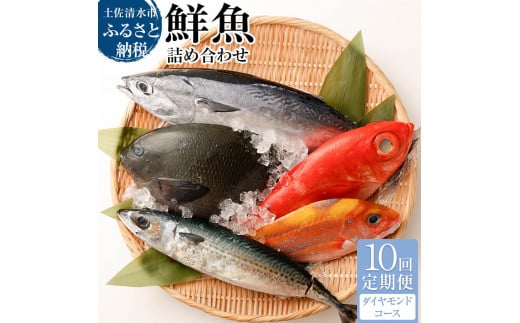 季節の鮮魚 おまかせお楽しみセット(20万円ダイヤモンドコース)鮮魚 ボックス 詰め合わせ 天然魚 食べ比べ 魚介類 海鮮料理 魚 新鮮 刺し身 お楽しみ 定期便 高知 【J00051】高知県土佐清