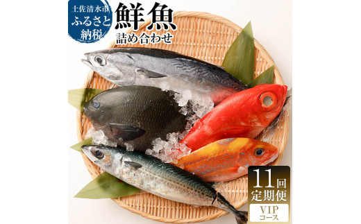 季節の鮮魚 おまかせお楽しみセット (VIPコース)鮮魚 ボックス 詰め合わせ 天然魚 食べ比べ 魚介類 海鮮料理 魚 新鮮 刺し身  お楽しみ 定期便 11ヶ月 高知 【J00056】高知県土佐清水市35