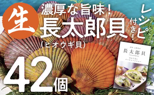ヒオウギ貝42個セット(ホタテの仲間)アウトドア キャンプ 海鮮BBQ 魚貝 生 貝殻付 活 貝柱 酒蒸し バーベキュー【R00570】高知県土佐清水市27000魚介・海産物貝類