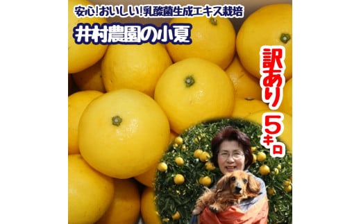 R8.4{ȍ~ ƒpǉƒpȂ!? 󂠂  Tkg  ݂ ~J k t[c ʕ ʎ Ȃ Ric ƭϰݼ   PA 