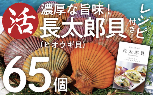 生け簀でお届けヒオウギ貝65個セット エアポンプ付(ホタテの仲間)アウトドア キャンプ 海鮮BBQ 魚貝 刺身 生 貝殻付 活 貝柱 酒蒸し バーベキュー【R00646】高知県土佐清水市40000魚介・海産