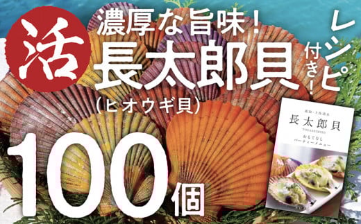 生け簀でお届けヒオウギ貝100個セットエアポンプ付(ホタテの仲間)アウトドア キャンプ 海鮮BBQ 魚貝 刺身 生 貝殻付 活 貝柱 酒蒸し バーベキュー【R00679】高知県土佐清水市57000魚介・海産
