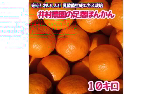 R8.1月下旬発送 ご贈答◎ ギフト◎ 完熟 足摺ぽんかん 10kg デコポンの親 みかん 柑橘 果物 果実 ミカン ぽんかん ポンカン フルーツ おやつ デザート 10キロ 美味しい おいしい 井村農園【R01494