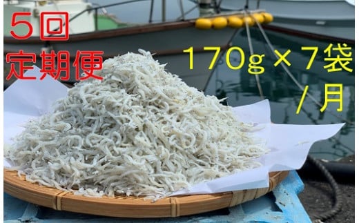 【5回定期便】岡本水産加工のちりめんじゃこ(毎回170g×7袋お届け)冷凍便 シラス 無添加 釜揚げ しらす丼 ちりめん丼【J00030】高知県土佐清水市66000魚介・海産物その他 魚介・海産物