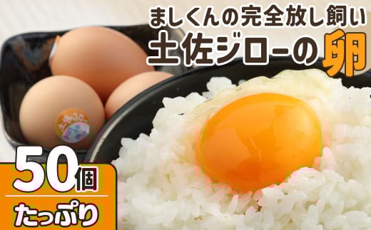 ましくんの完全放し飼い土佐ジローの卵 (25個入り×2箱)もみ殻梱包 ブランド卵 タマゴ 生卵 鶏卵 国産 地鶏 はなし飼い ご飯 美味しい 濃厚 朝食 ランチ グルメ 贅沢 【R00632】高知県土佐清