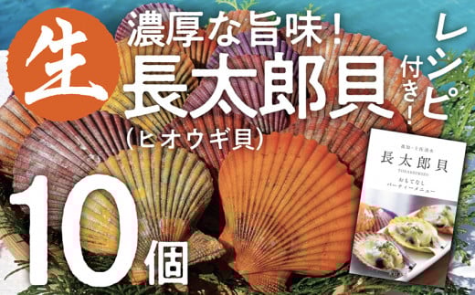 ヒオウギ貝10個セット(ホタテの仲間)アウトドア キャンプ 海鮮BBQ 魚貝  生 貝殻付 活 貝柱 酒蒸し バーベキュー【R00082】高知県土佐清水市7000魚介・海産物貝類