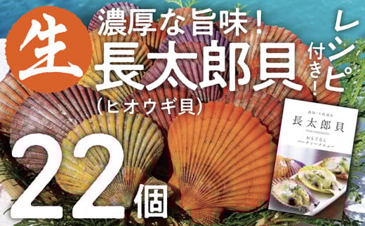 ヒオウギ貝22個セット(ホタテの仲間)アウトドア キャンプ 海鮮BBQ 魚貝 生 貝殻付 活 貝柱 酒蒸し バーベキュー【R00343】高知県土佐清水市14000魚介・海産物貝類